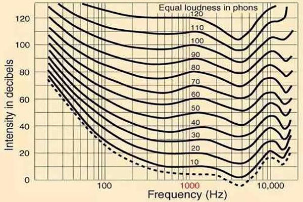 香蕉视频最新网址在线观看系统工程